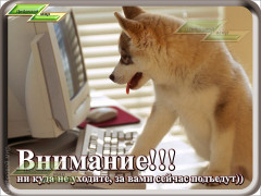 Внимание, ни куда не уходите!