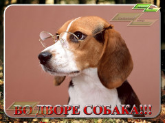 Во дворе собака!
