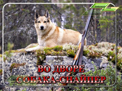 Во дворе собака снайпер!