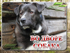 Во дворе собака!