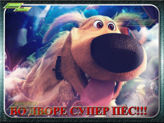 Во дворе супер пес!
