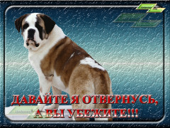 Давай я отвернусь, а вы убежите!